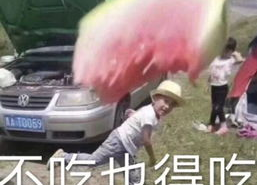 娱乐吃瓜老王免费阅读,跟随老王免费阅读，一探究竟