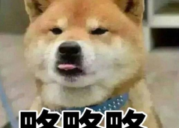 下载各种表情包,下载海量趣味表情，轻松驾驭网络社交