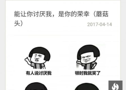 自创表情包的软件,自创软件使用指南