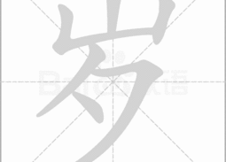多出一半谜底,探寻谜题背后的奥秘