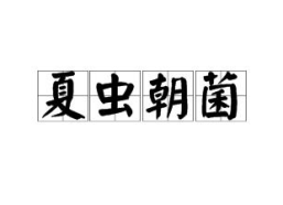 轻字开头的成语,轻舟已过万重山